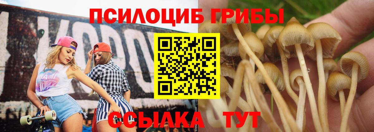Магазины продажи наркотиков  Метамфетамин  Канабис  Майкоп  Вейп ТГК  Мефедрон кристаллы  Кокаин  ГАШИШ  Alpha PVP СОЛЬ   АМФЕТАМИН   Вход с VPN 